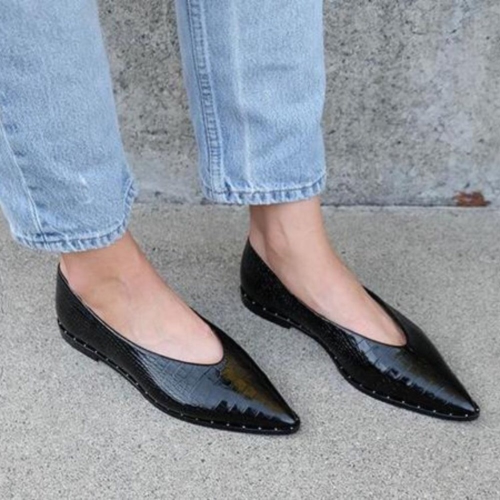 Freda Salvador Lisa pointy flats - Picture 1 of 7